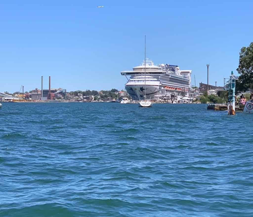 October 2022 Jacaranda Cruise Image -6361c87c5a019